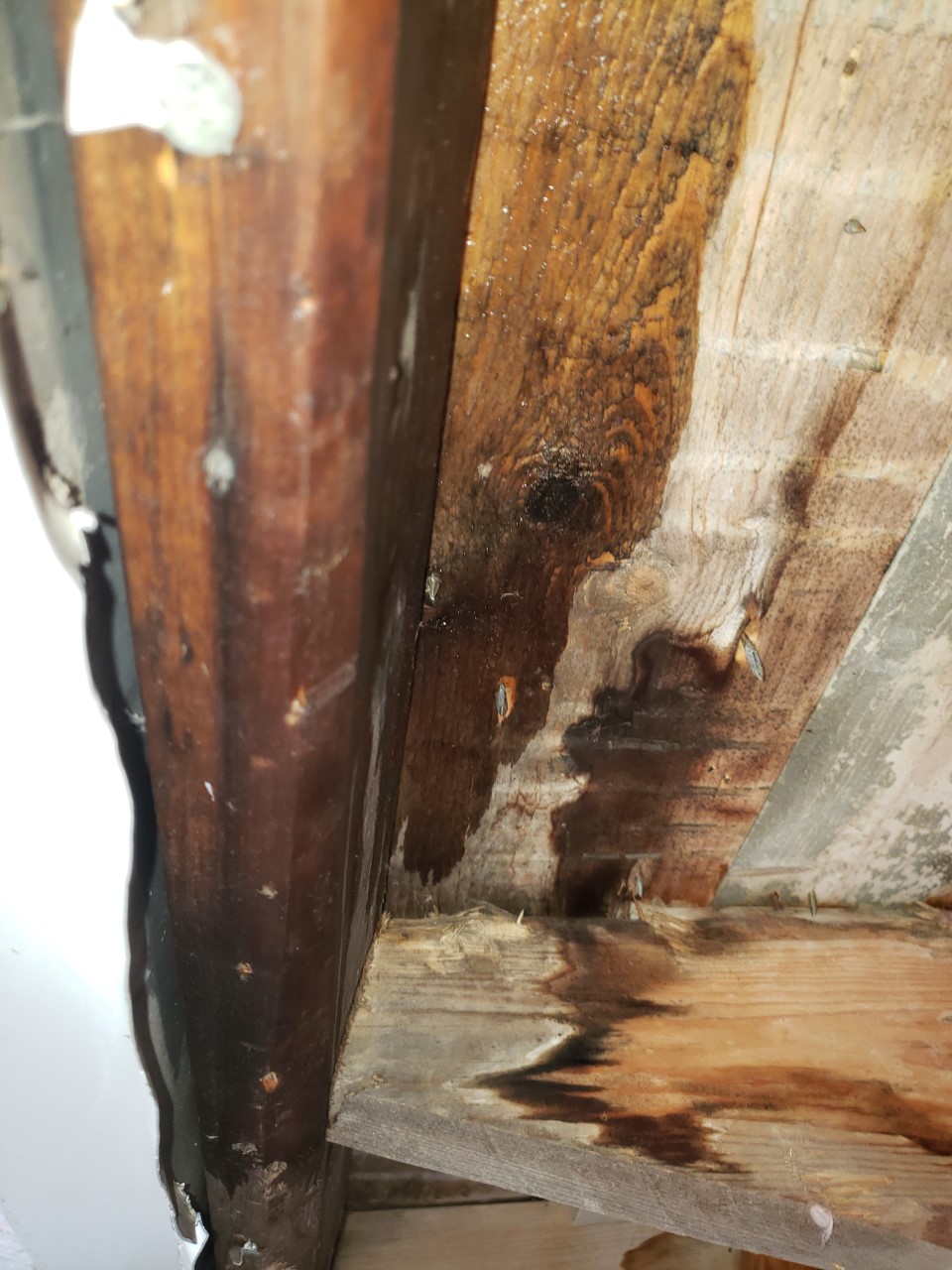 leak - Why is there water dripping through my soffits? - Home