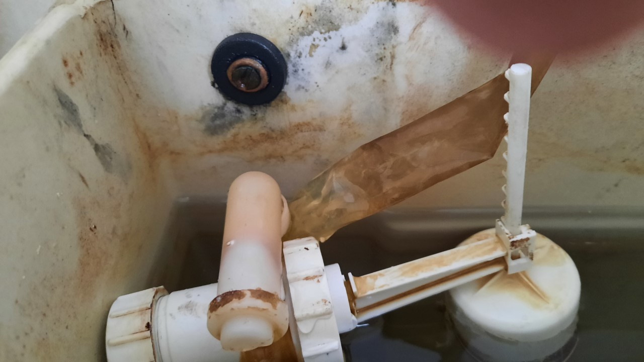 Toilet Leaking Into Bowl Plumbing at Melinda Felix blog