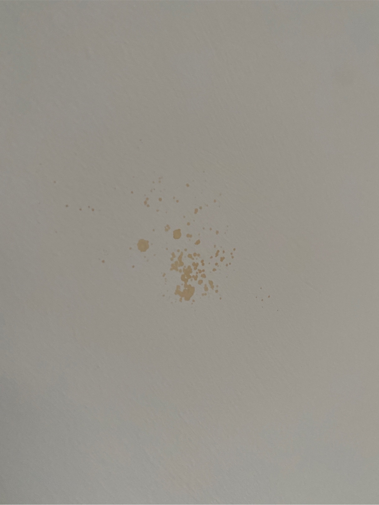 Brown spots on wall after painting Home Improvement Stack Exchange