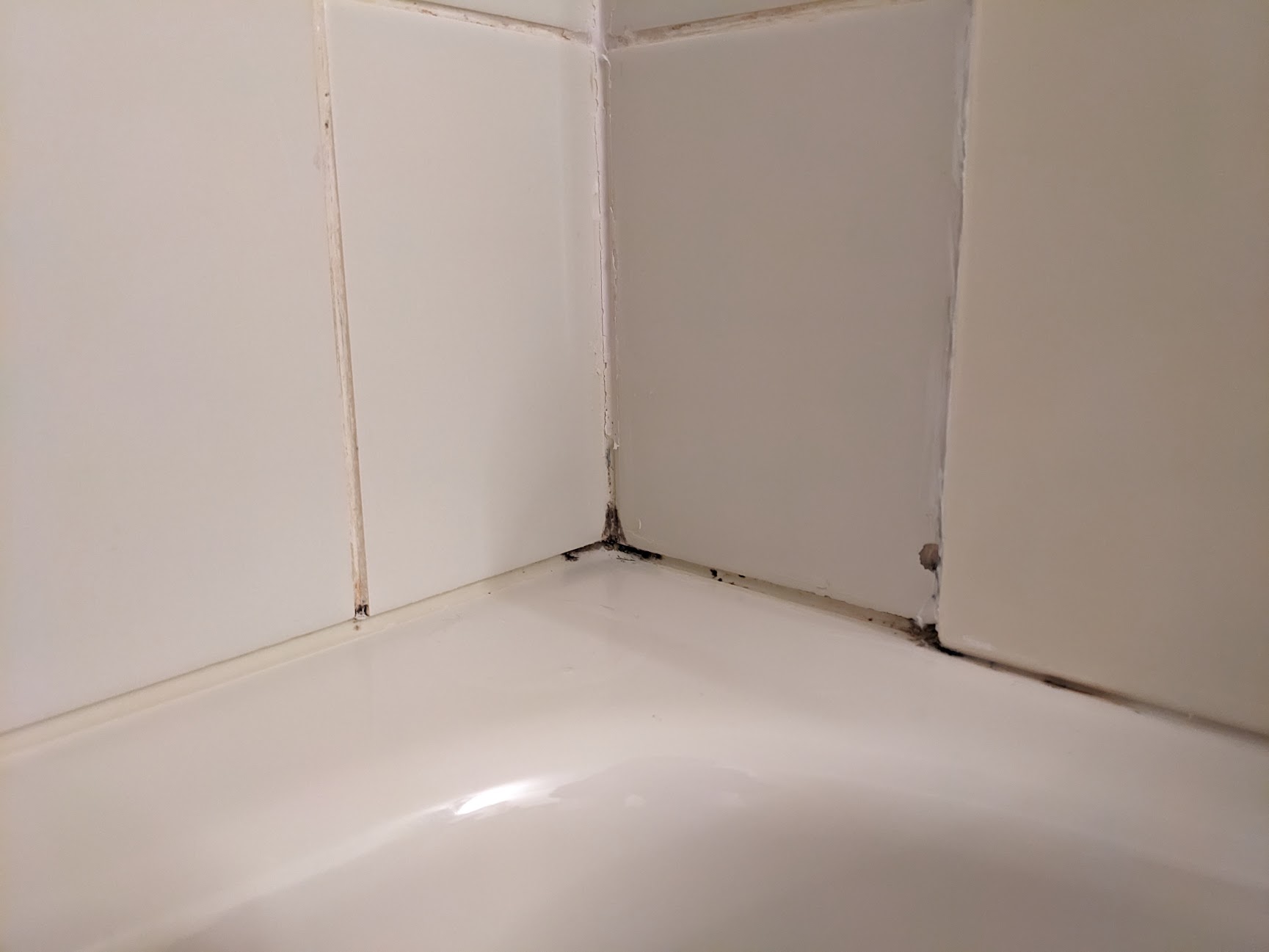 bathroom Best way to fix grout issues (Mould?) in shower? Home