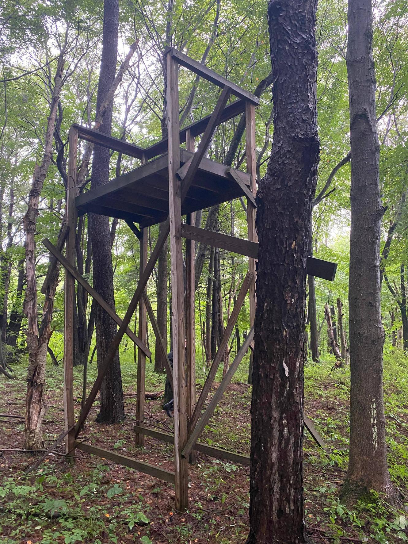 wood - What's the easiest way to make this elevated outdoor platform