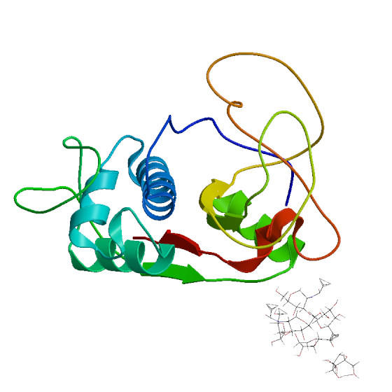 enzymes Representation of bromelain molecule in two dimensional