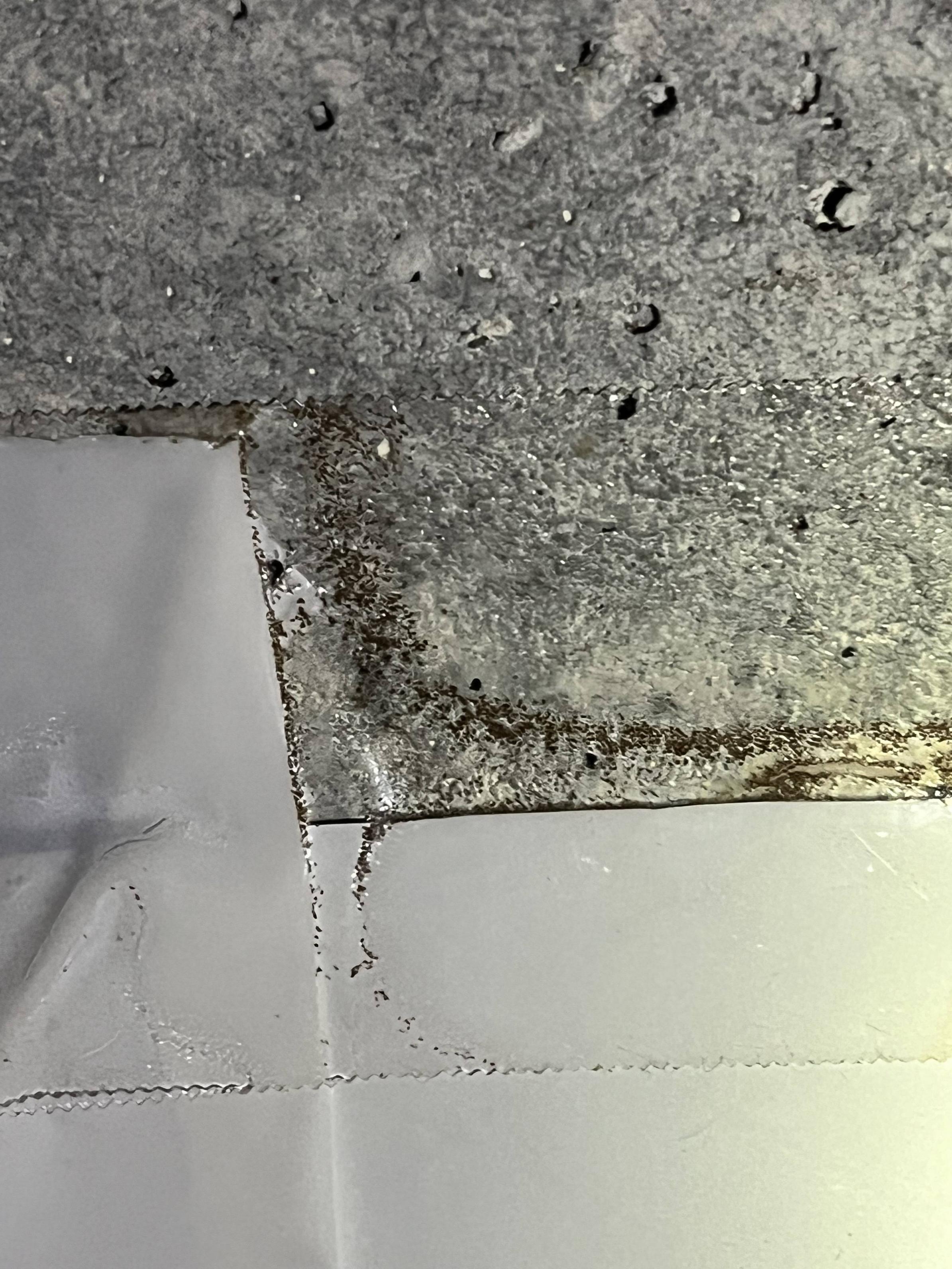 Is this mold growing behind duct tape that's holding vapor barrier to