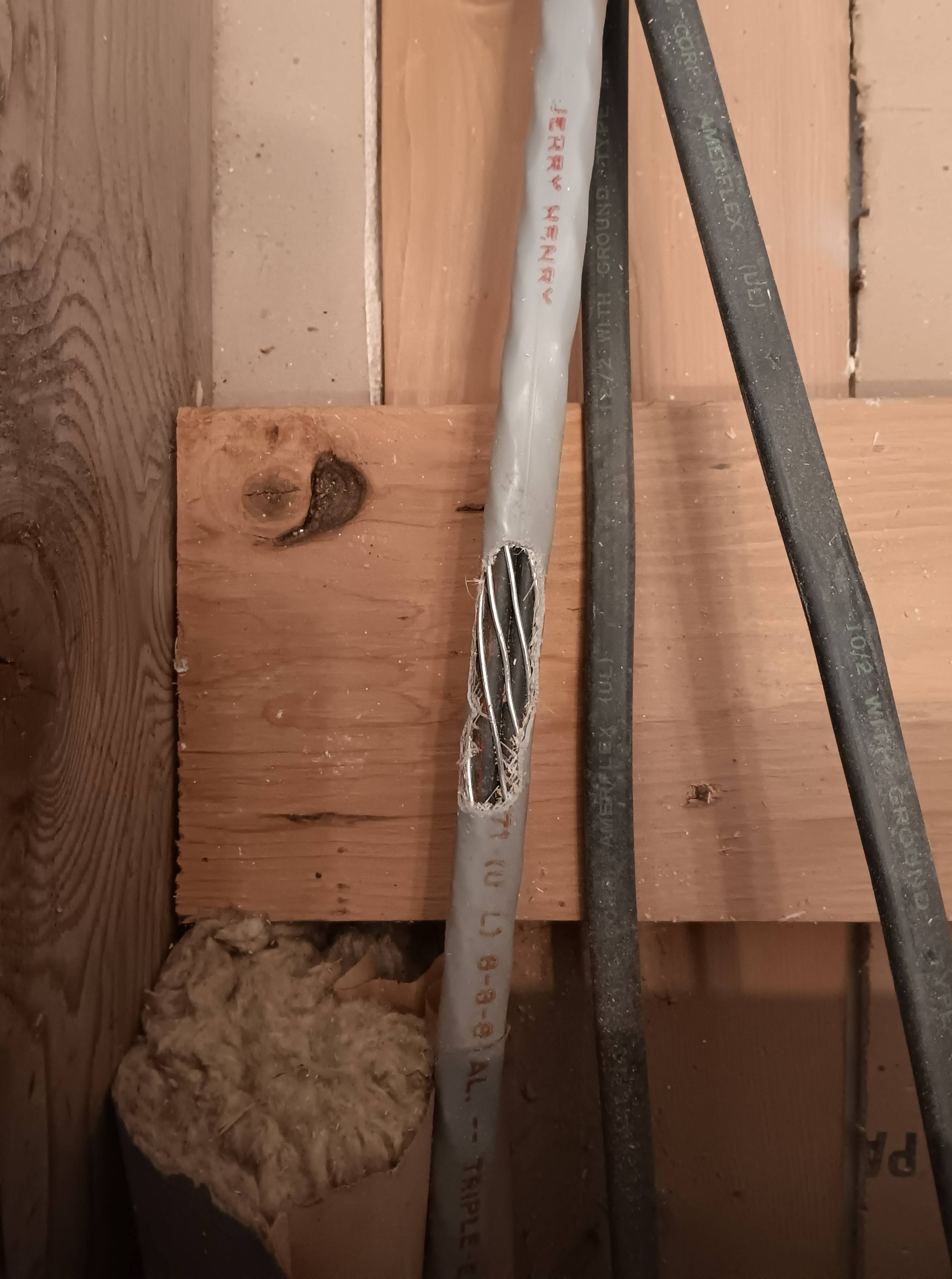 electrical Chewed wires under subfloor Home Improvement Stack Exchange