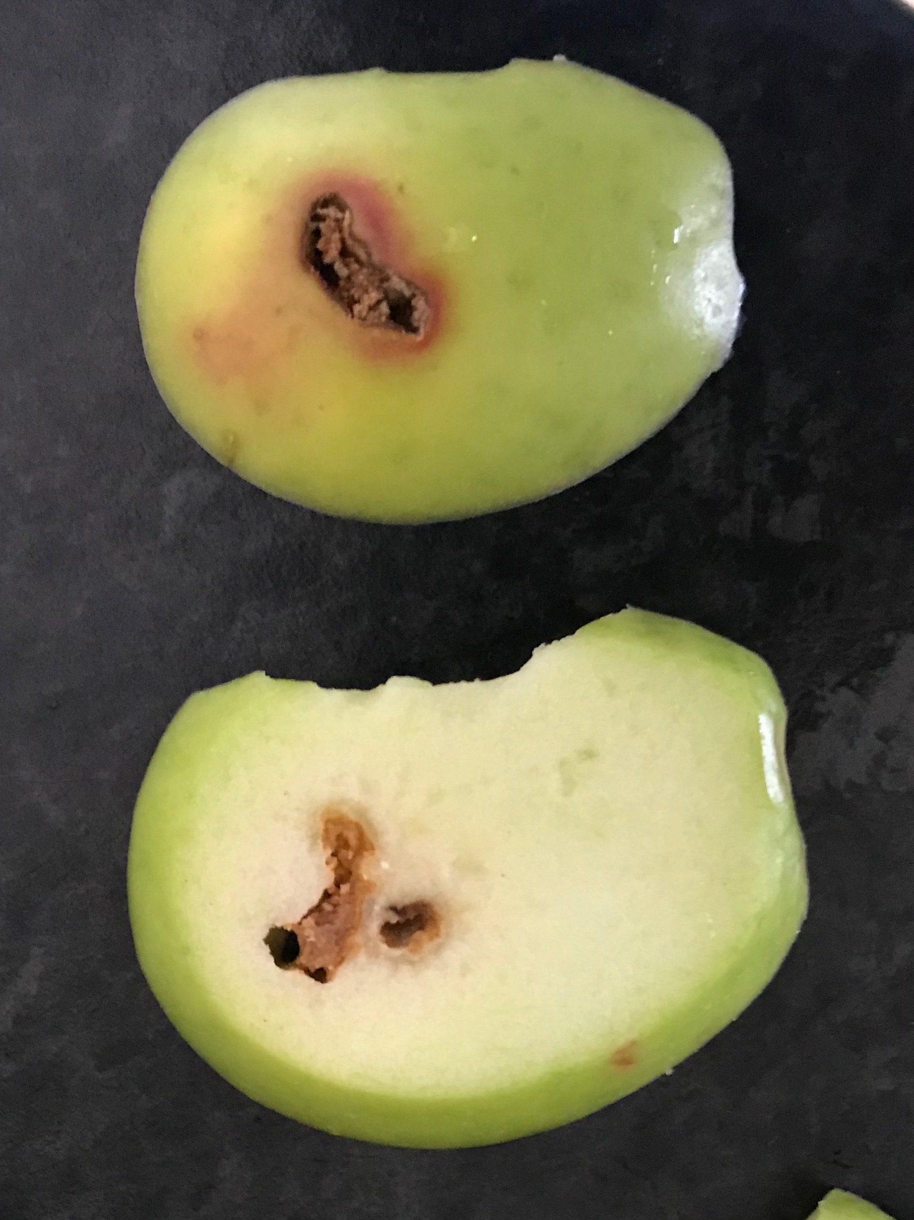 diagnosis Granny Smith apple trees fruit health Gardening & Landscaping Stack Exchange