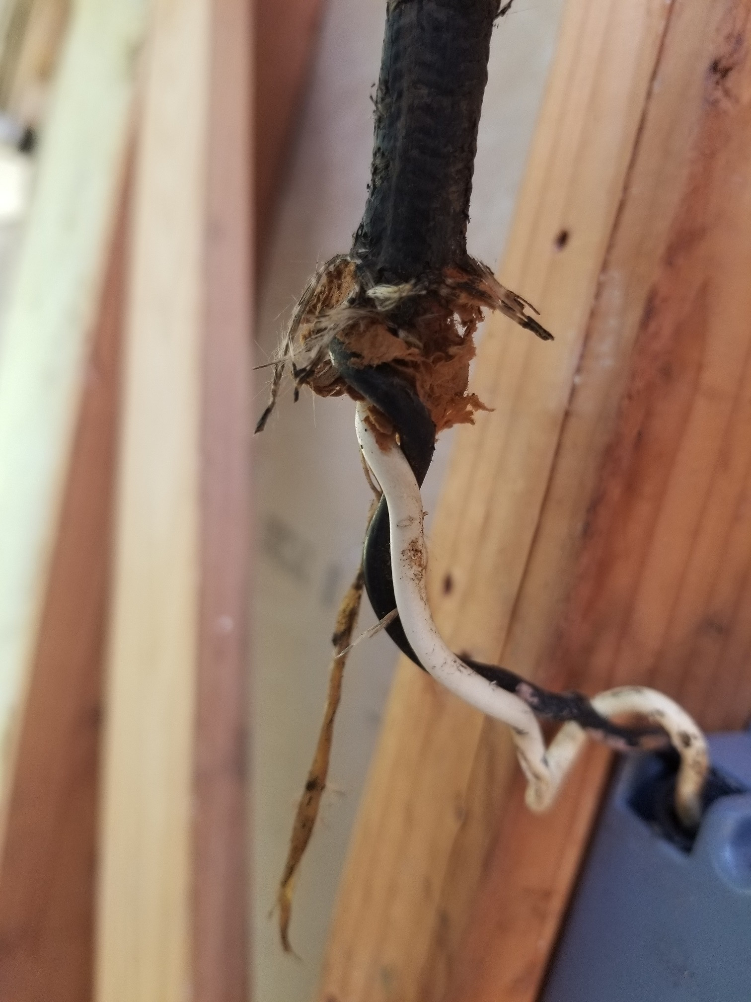 wiring - Can I correct ungrounded circuits with GFCI breakers or do I