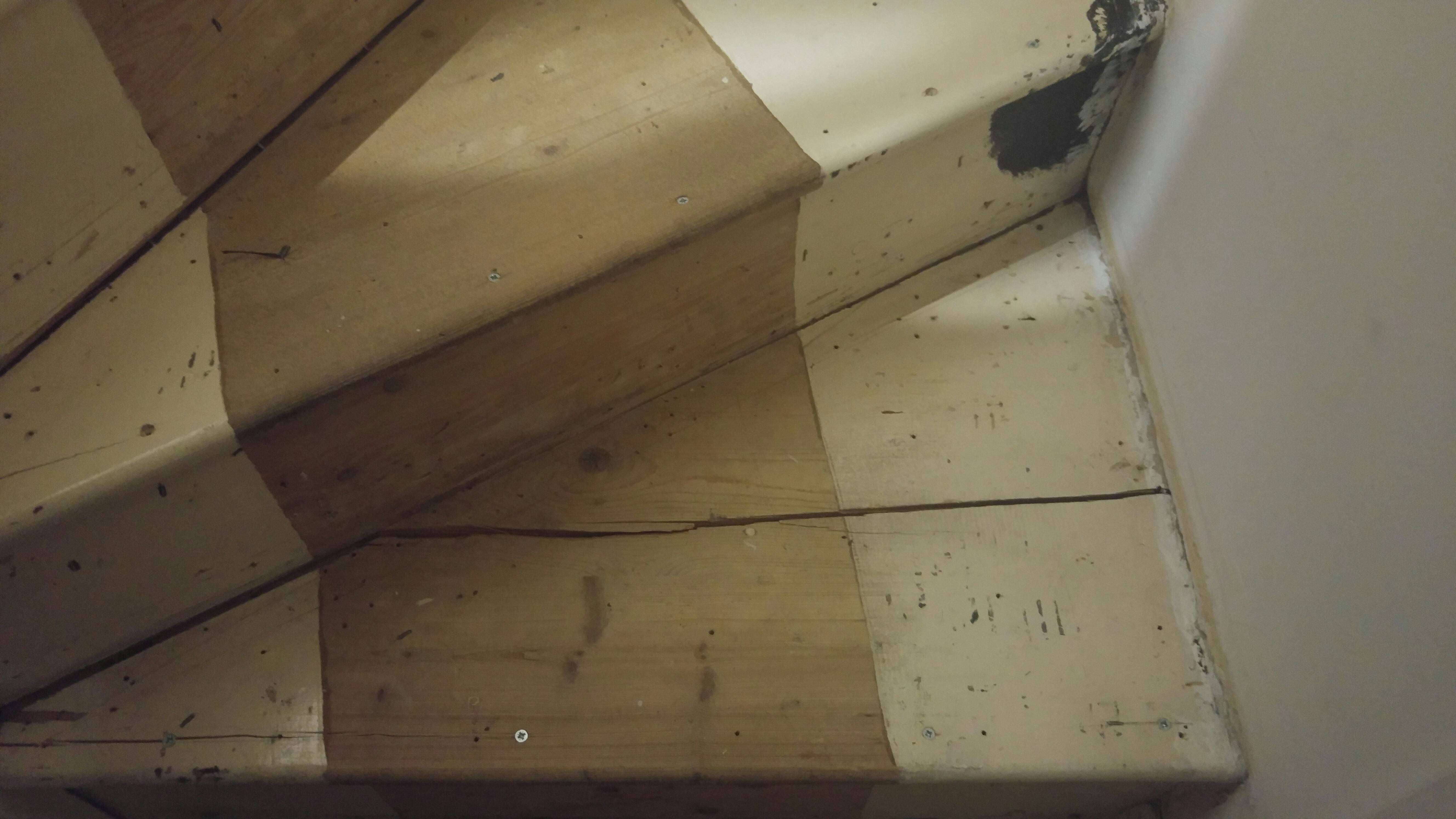 carpentry Stair tread damage repairable/replaceable? (photo) Home Improvement Stack Exchange