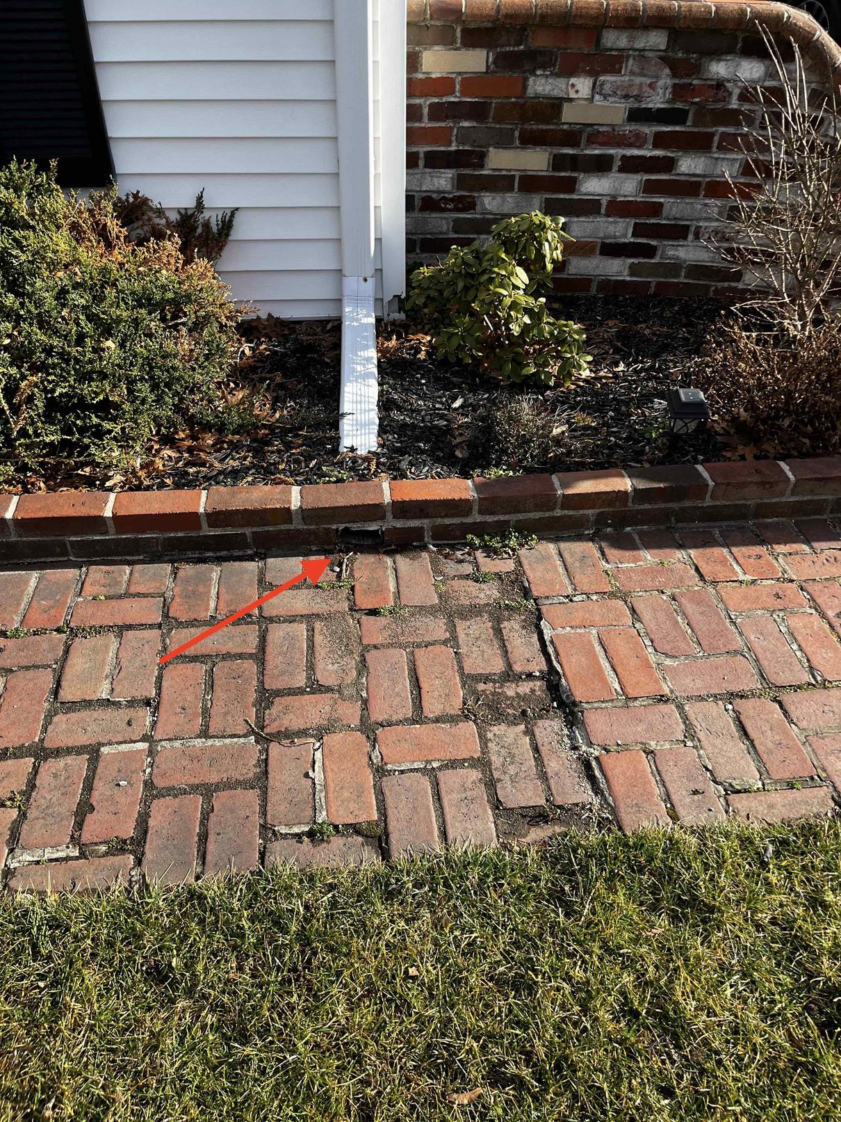 drainage How to divert rain water from walkway? Home Improvement