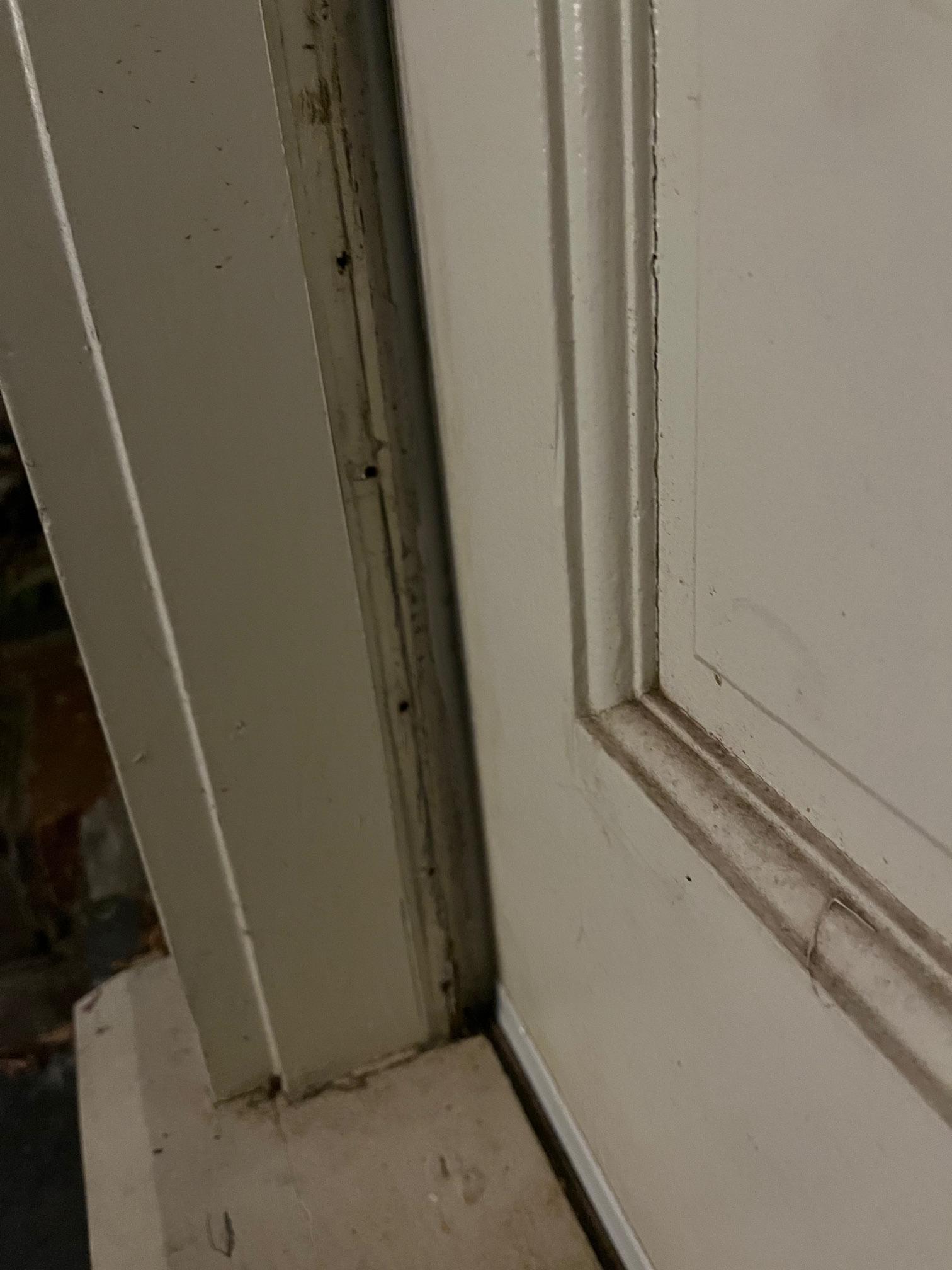 How do I fix a large gap at the bottom of an exterior door? - Home
