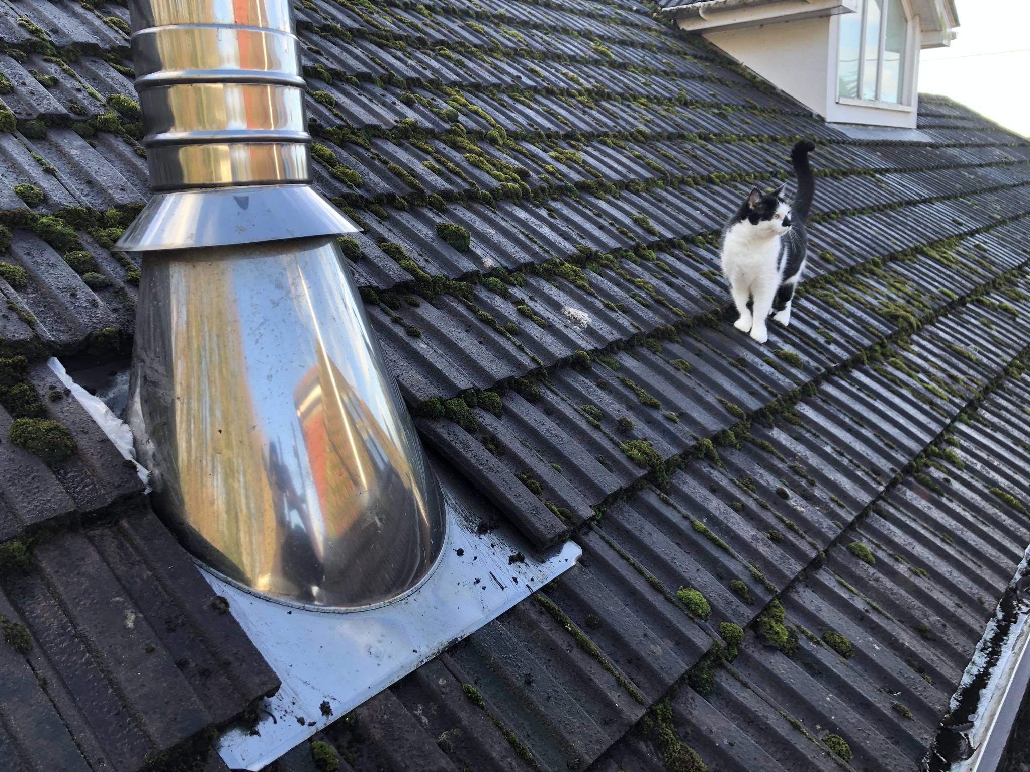 roof Wood burning stove chimney leaking Home Improvement Stack Exchange