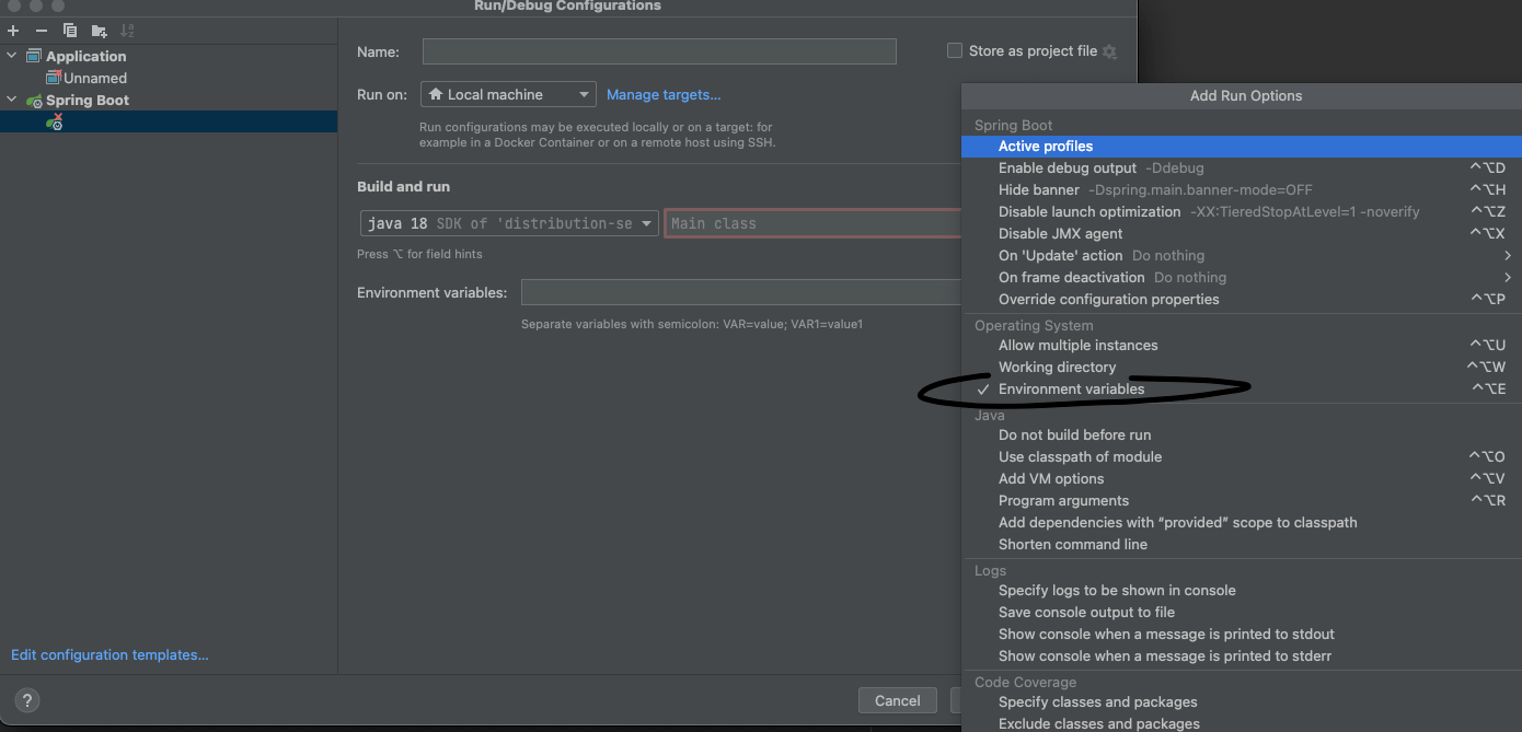 java How do I add environment variables in IntelliJ Spring Boot