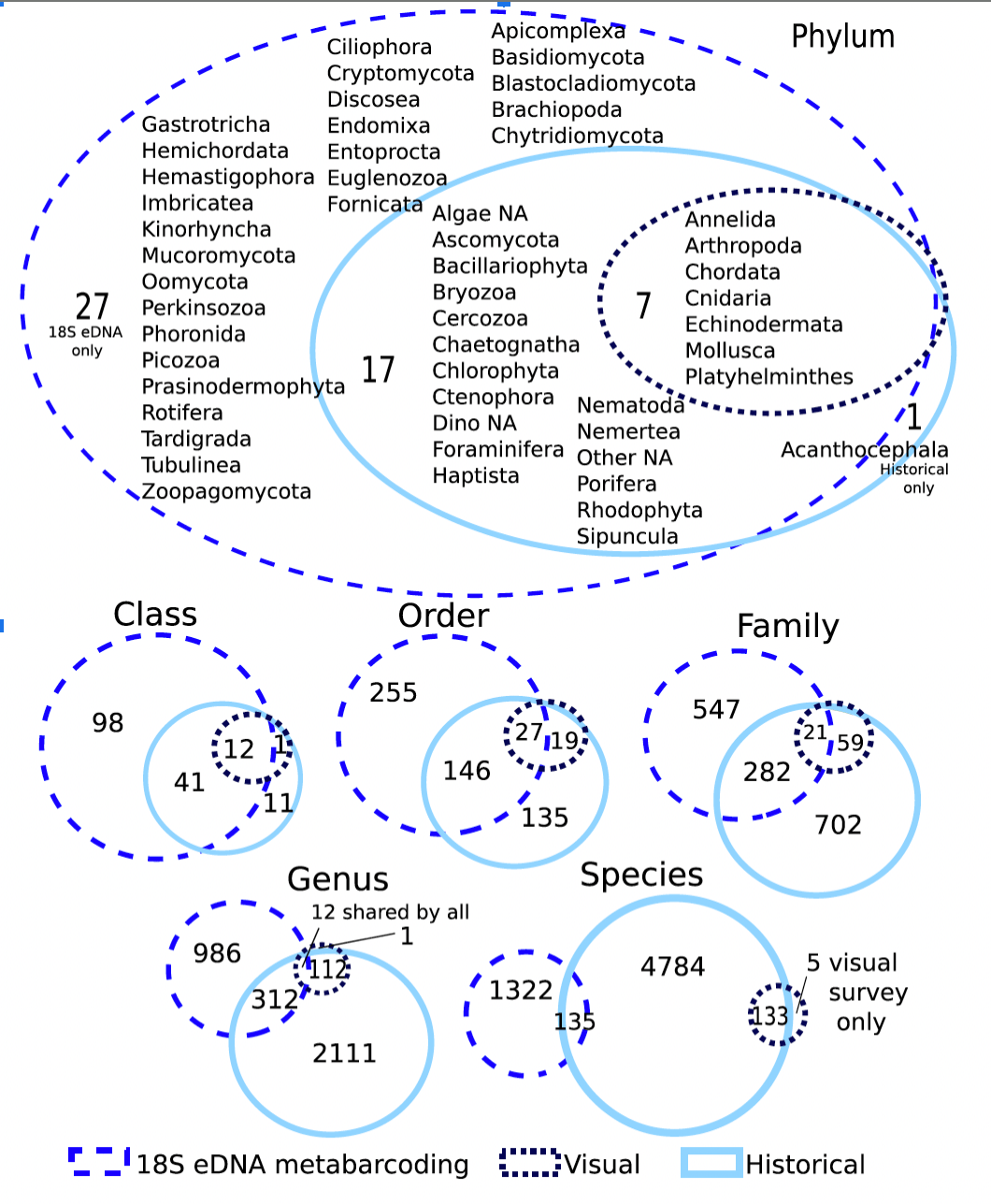 venn diagram - How can I make this VennDiagram in R? - Stack Overflow