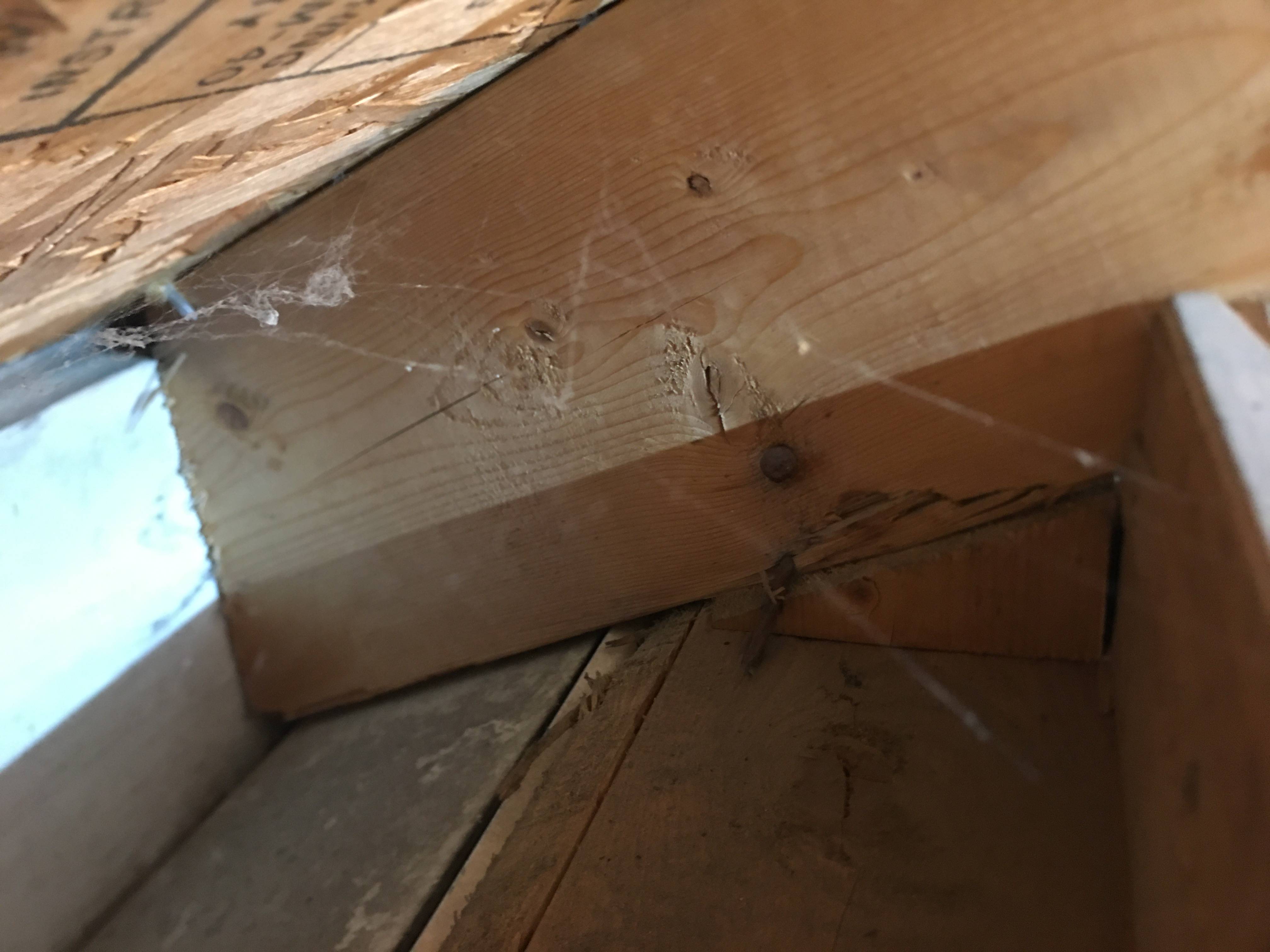 framing - No Birdsmouth on Rafters - is there a way to remedy this