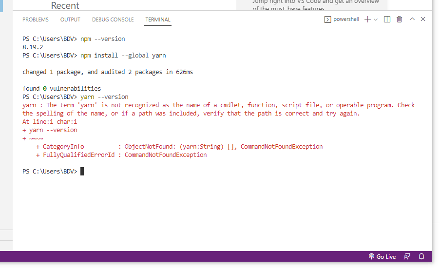 node.js Why installed Yarn package manager doesn't work? Stack Overflow