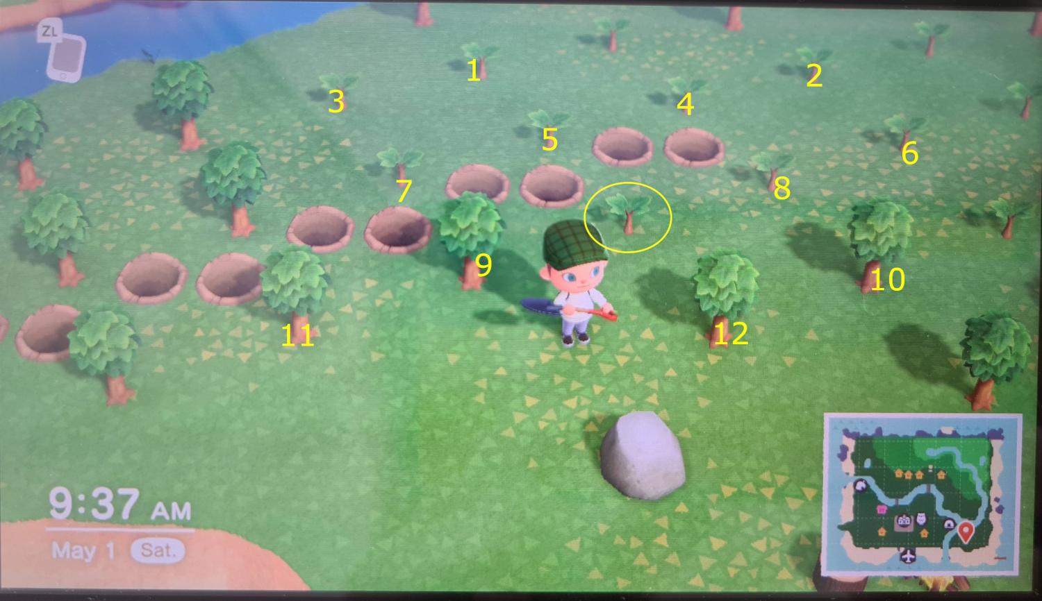 animal crossing new horizons Why did some of my fruit trees not grow to the next stage? Arqade