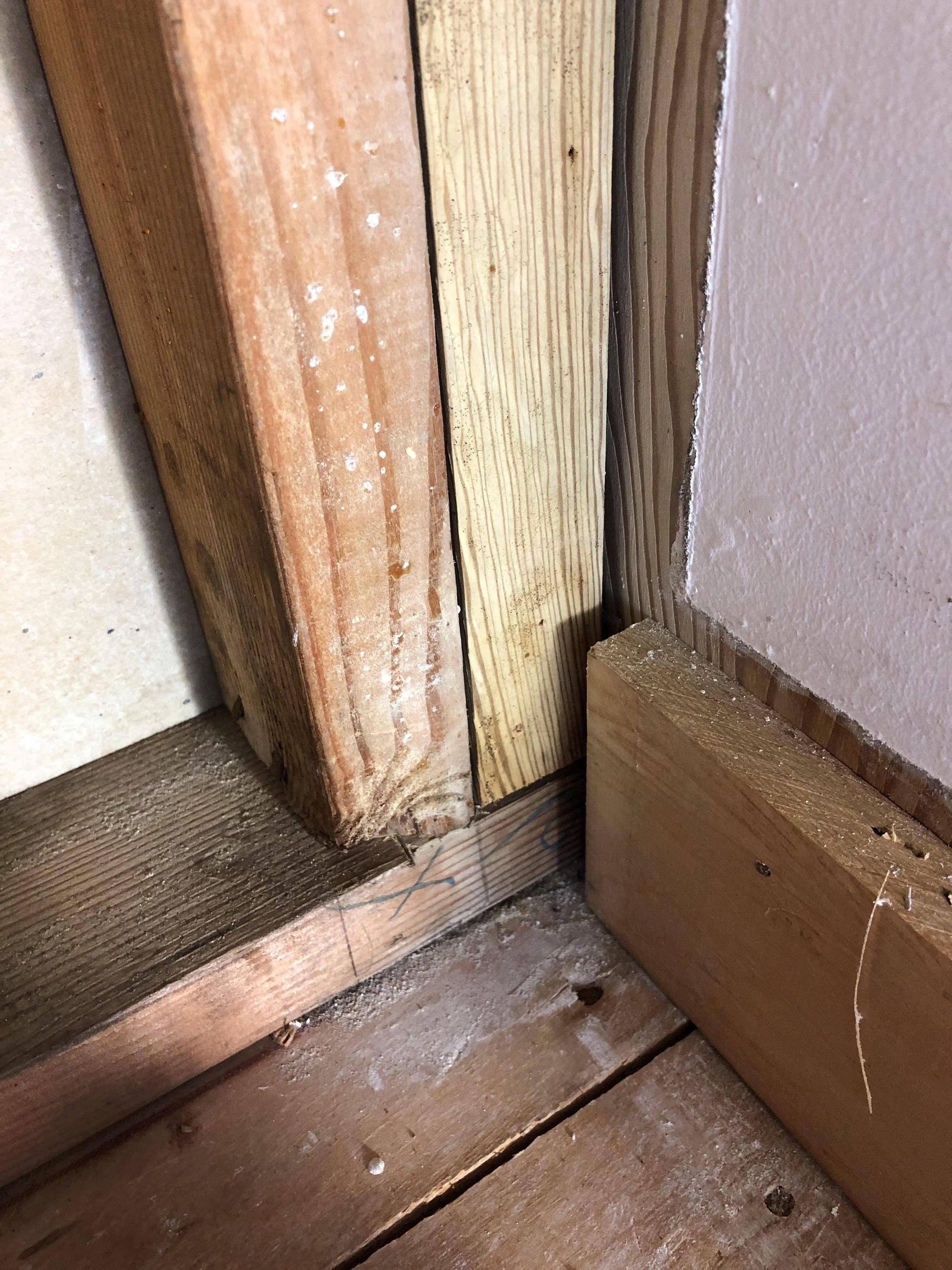 remodeling How to treat mold on a single stud? Home Improvement