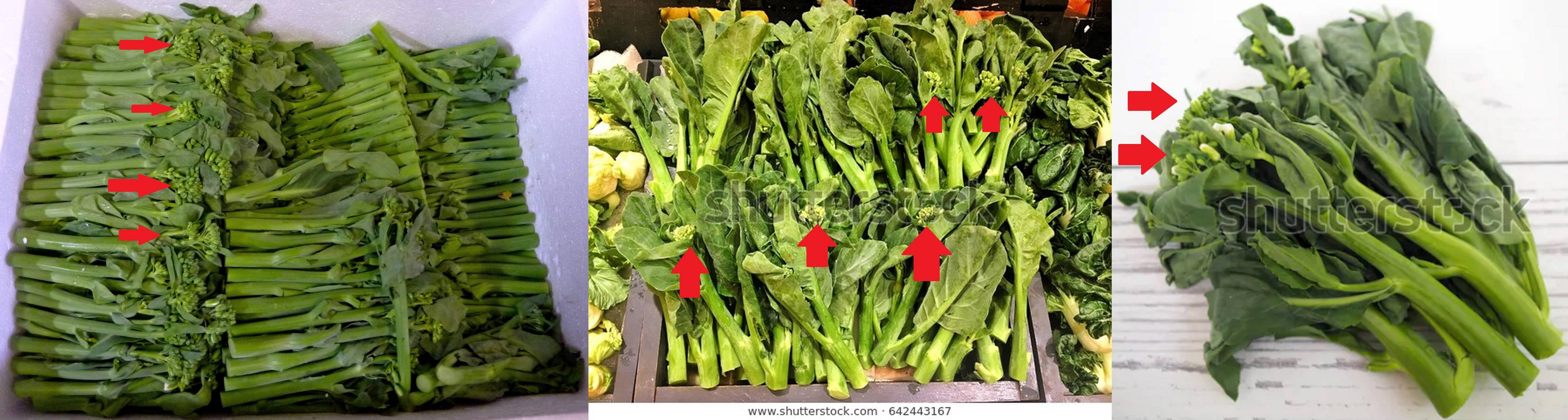 Why do Chinese grocers advise cutting and discarding flowers in Chinese