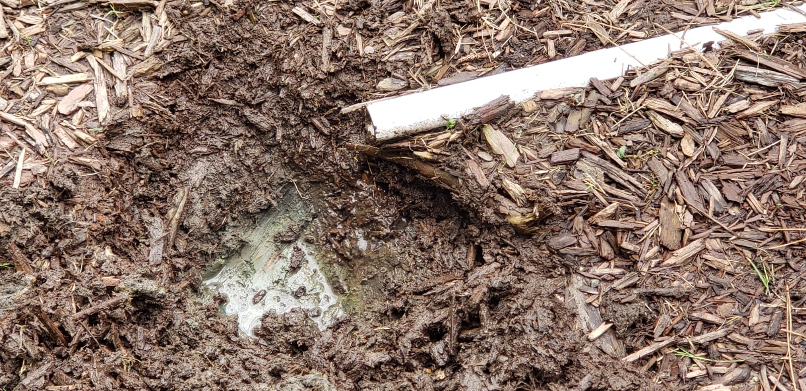 drain AC condensate line outside soggy lawn in the yard clay soil