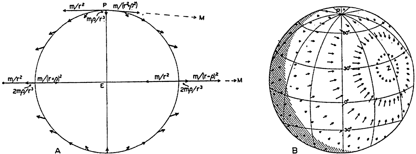 homework and exercises How does the Moon cause the tides? Physics