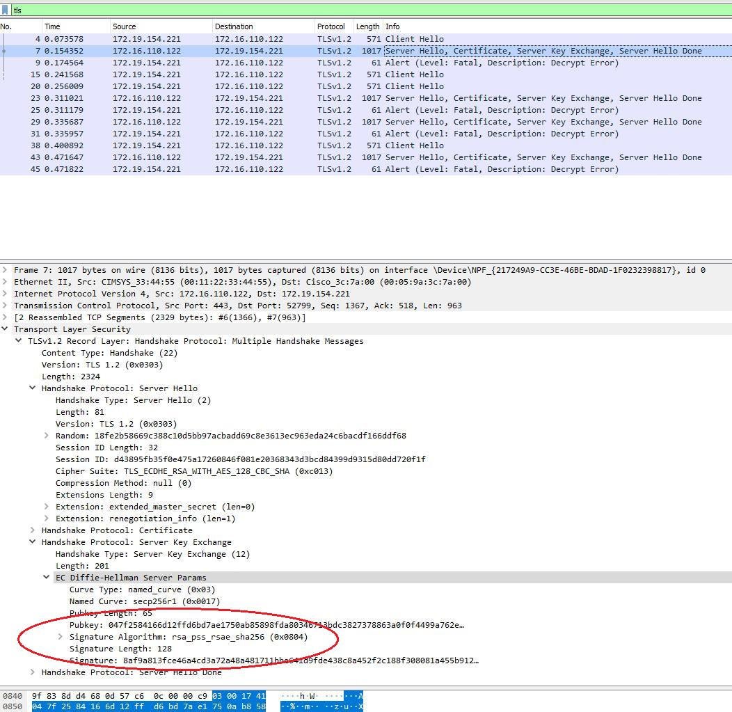 ssl Decrypt error in TLS handshake after
