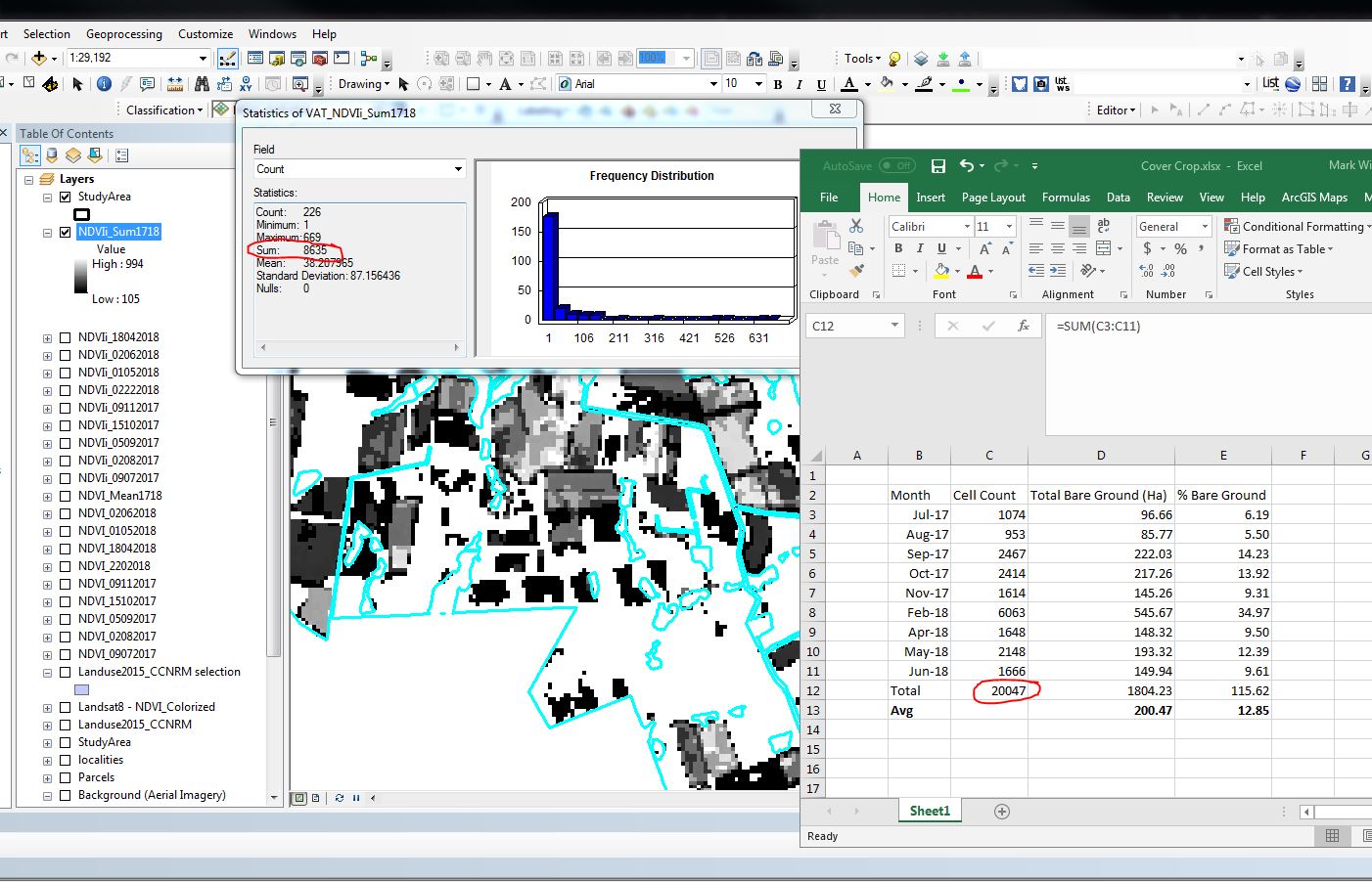 raster ArcGIS NDVI average for bare soil Geographic Information