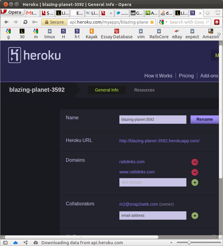 heroku rails app domain only working without www Stack Overflow
