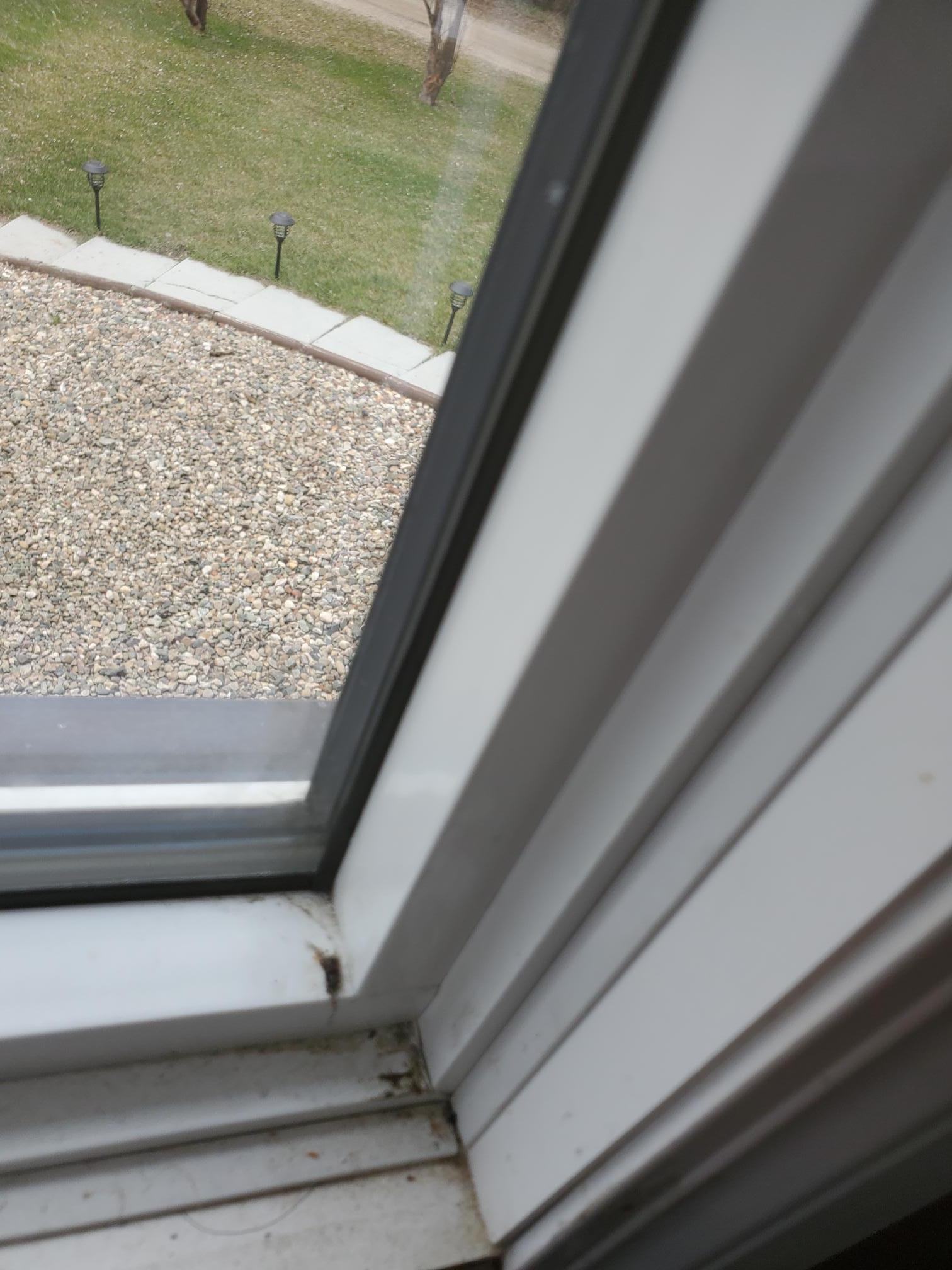 How to remove side vinyl from the window Home Improvement