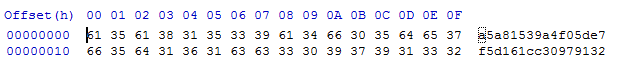 C/C++ ASCII Character's to HEX BYTE Array Stack Overflow