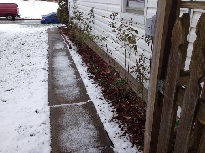 landscaping What kind of soil mix to use for grading the perimeter of