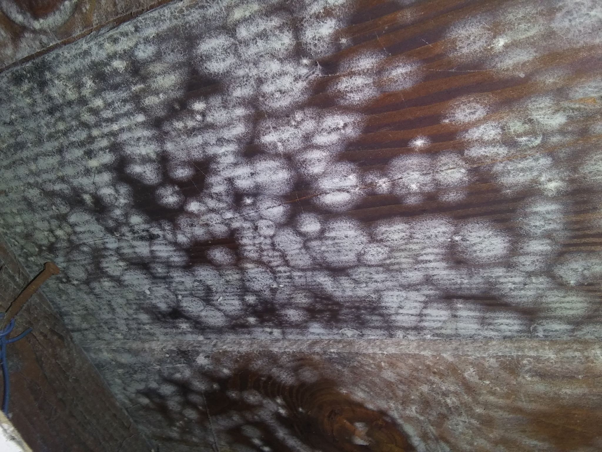 ceiling White Spots on Wood in Attic Home Improvement Stack Exchange