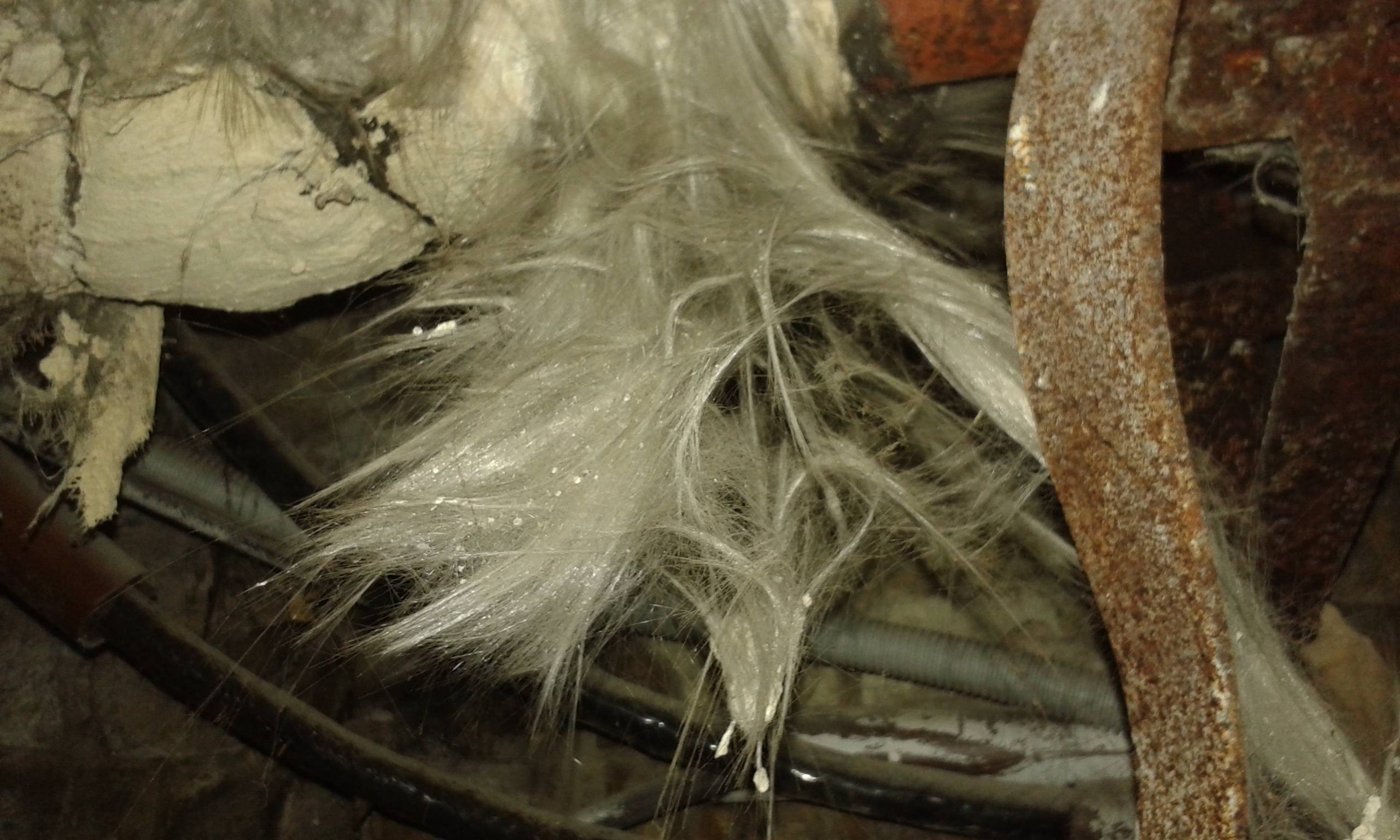 Should I worry about this pipe insulation? (fiberglass vs asbestos