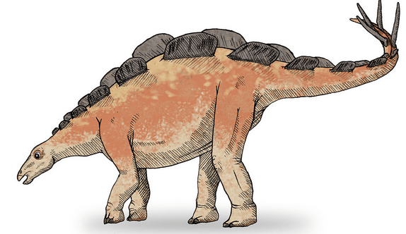 solicitud de término ¿Existe un nombre de animal que empiece por la