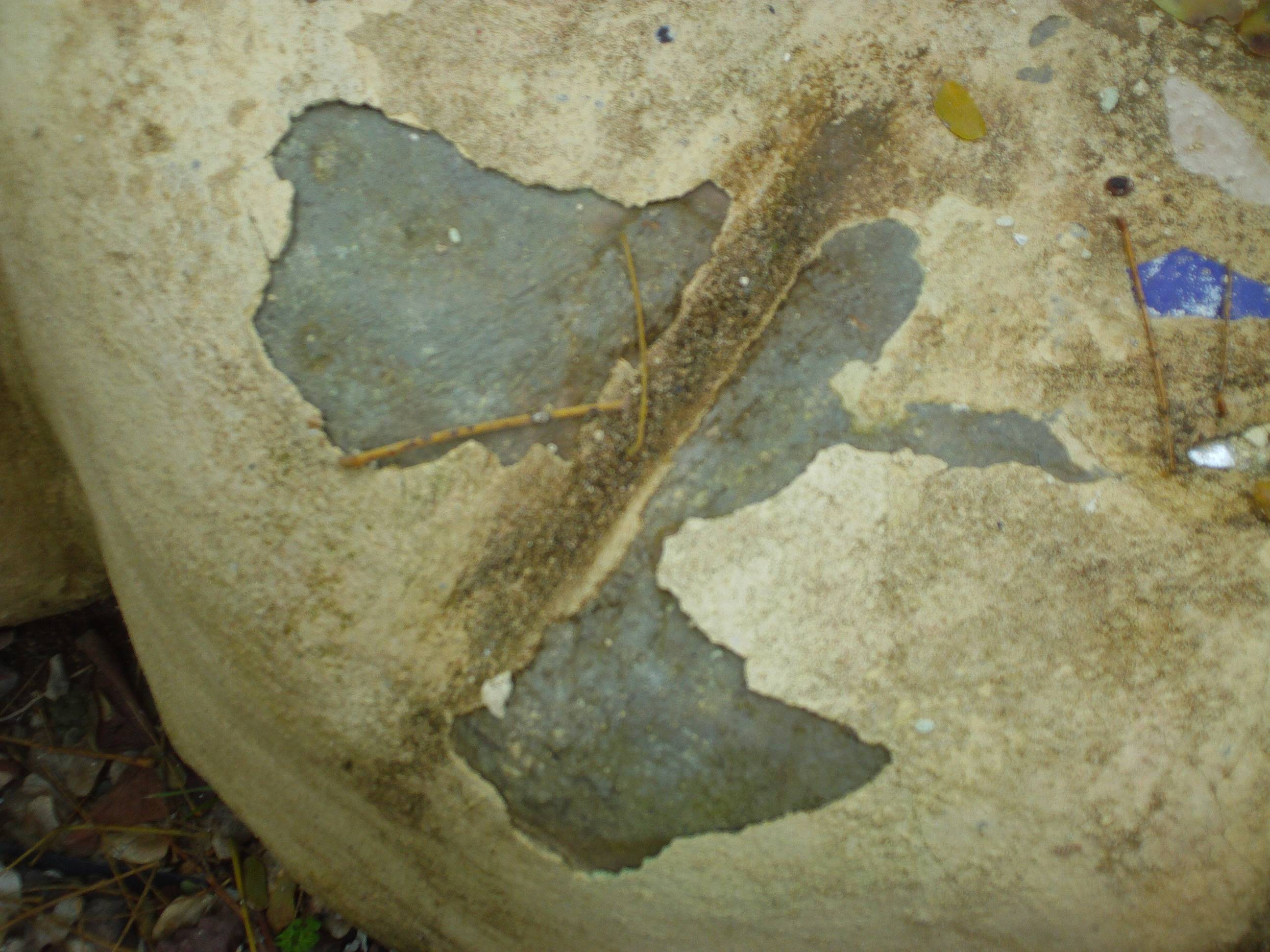 concrete What is an appropriate sealer for a Papercrete bench? Home