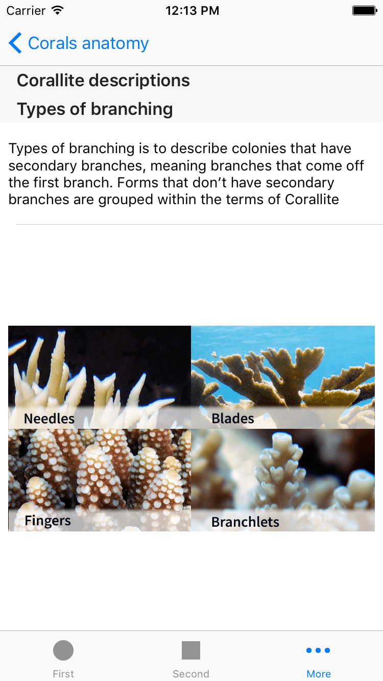 ios9 Swift adaptive cell height in static tableview Stack Overflow