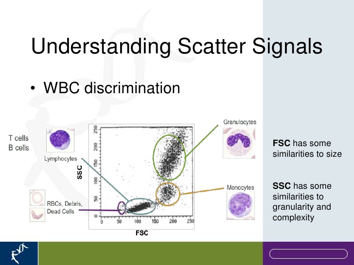 staining Flow Cytometry Channels Biology Stack Exchange
