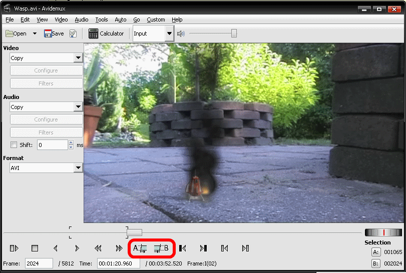 windows View each frame of video and delete/edit them Software