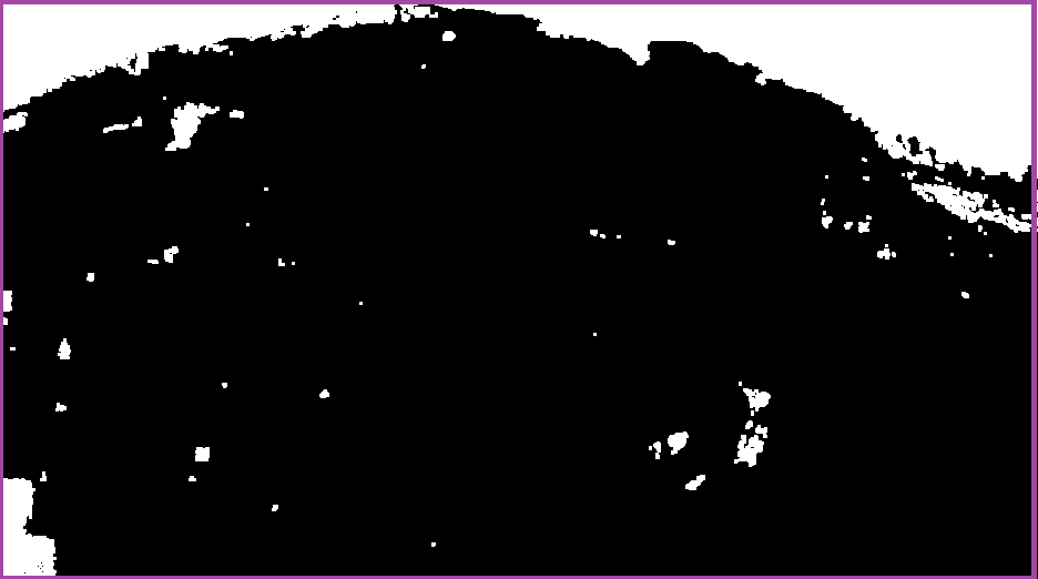 C++ and OpenCV clustering white pixels algorithm Share Best Tech Solutions