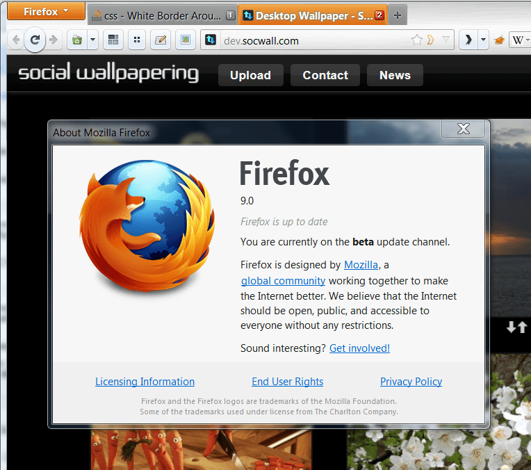 css White Border Around Fixed Position Header in Firefox Stack Overflow