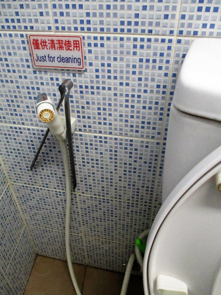 singapore Are the hoses in toilets in Asia something I should know