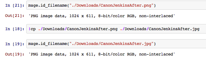 How to get the type of a file with python? Stack Overflow