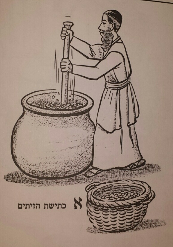 technology What does an olive press look like? Mi Yodeya