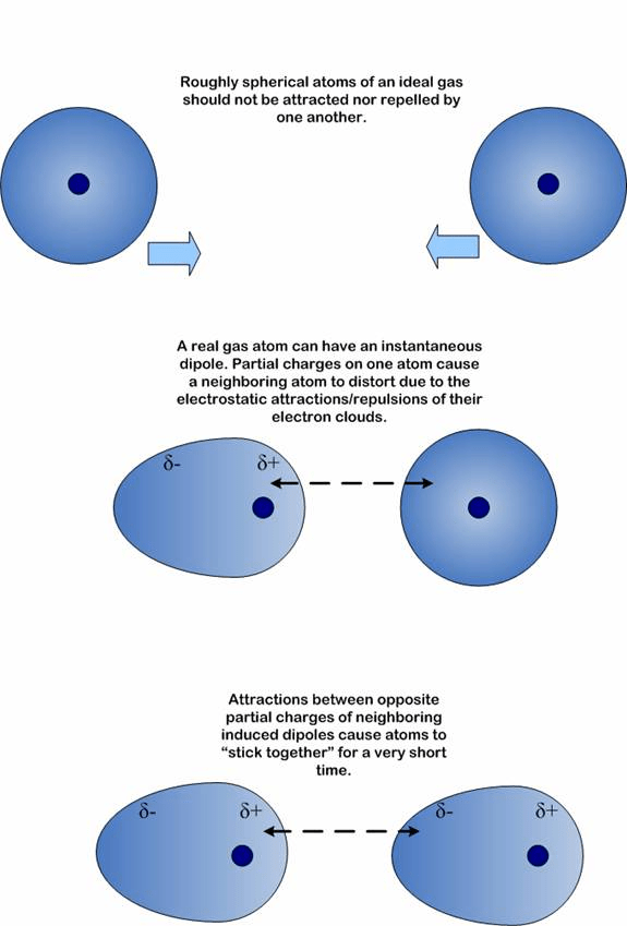 Reason behind cohesive and adhesive force Physics