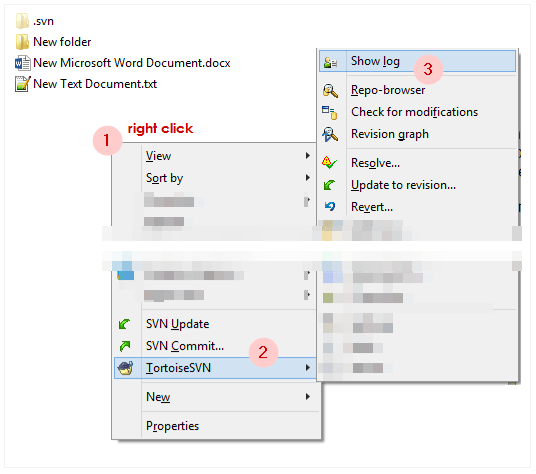 How to compare two SVN revisions using TortoiseSVN command line