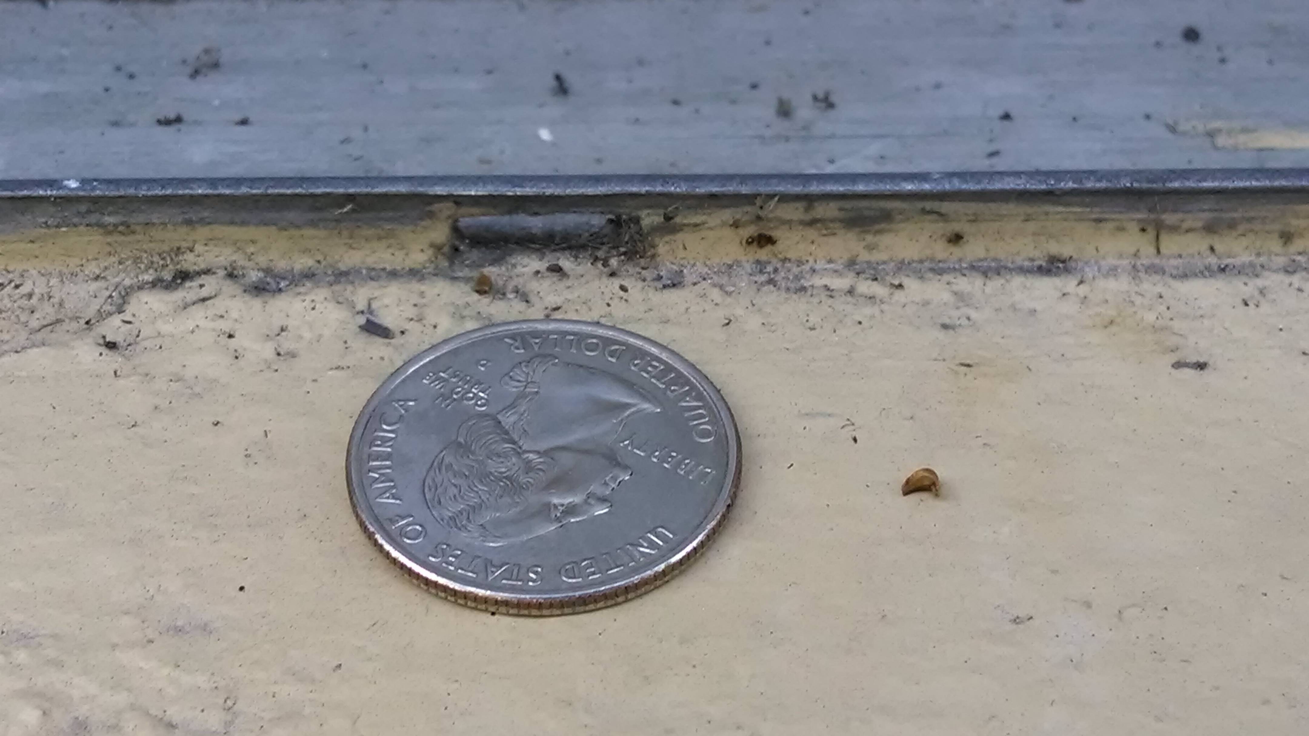 repair How can I fix this portion of sliding screen door track? Home Improvement Stack Exchange