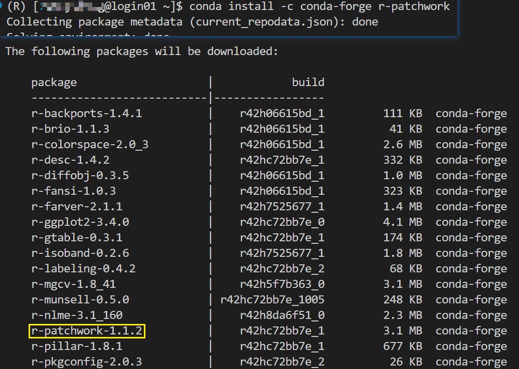 conda install c r** install irrelevant packages Stack