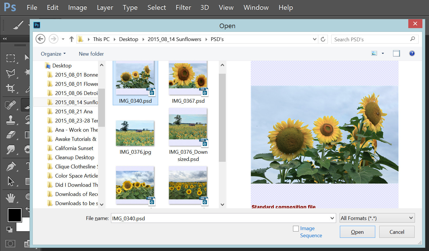 Adobe Preview .psd files in Windows 7 browser