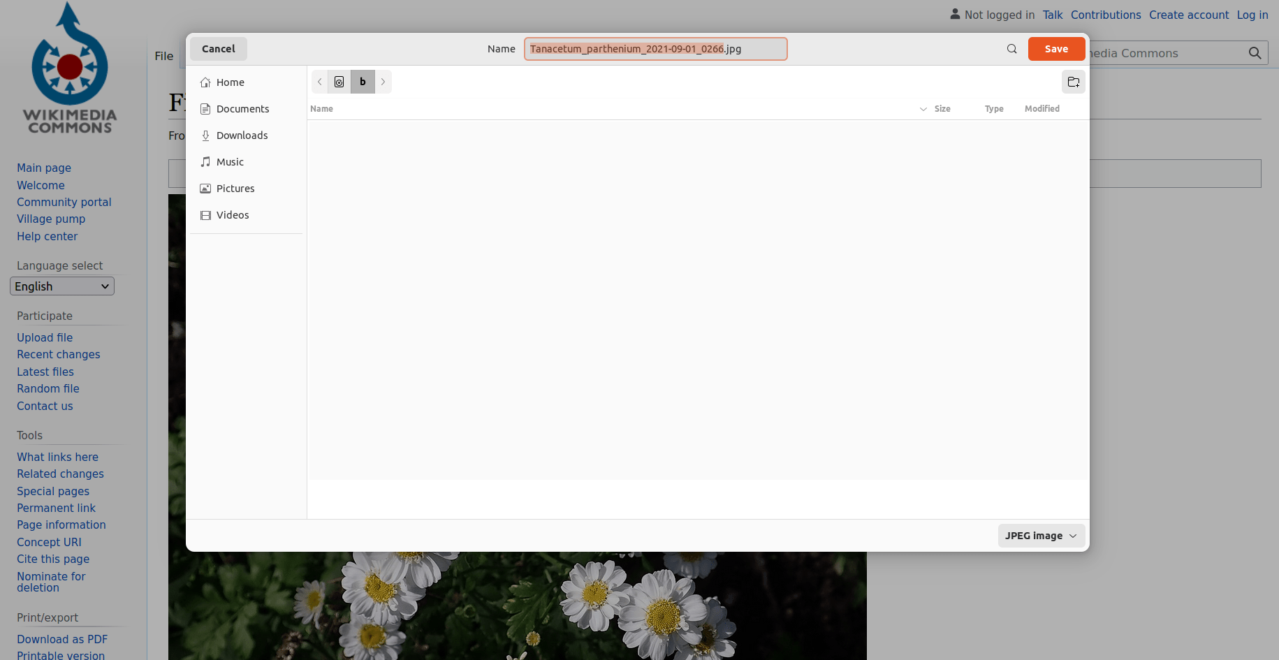 Issues with xdgdesktopportalgnome (file save dialog) using Firefox