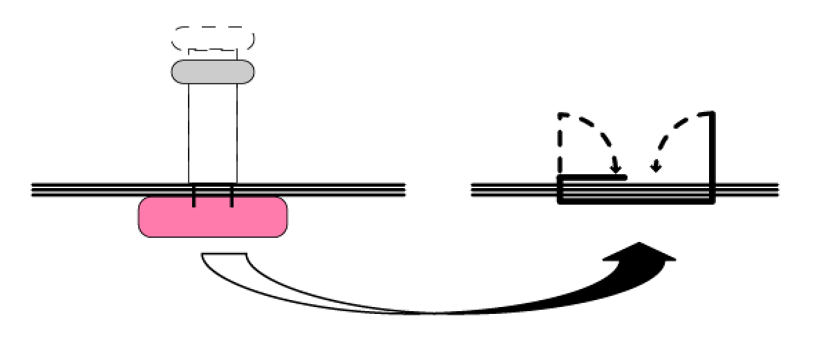 stationery How to staple 41/4" booklets with normal staplers