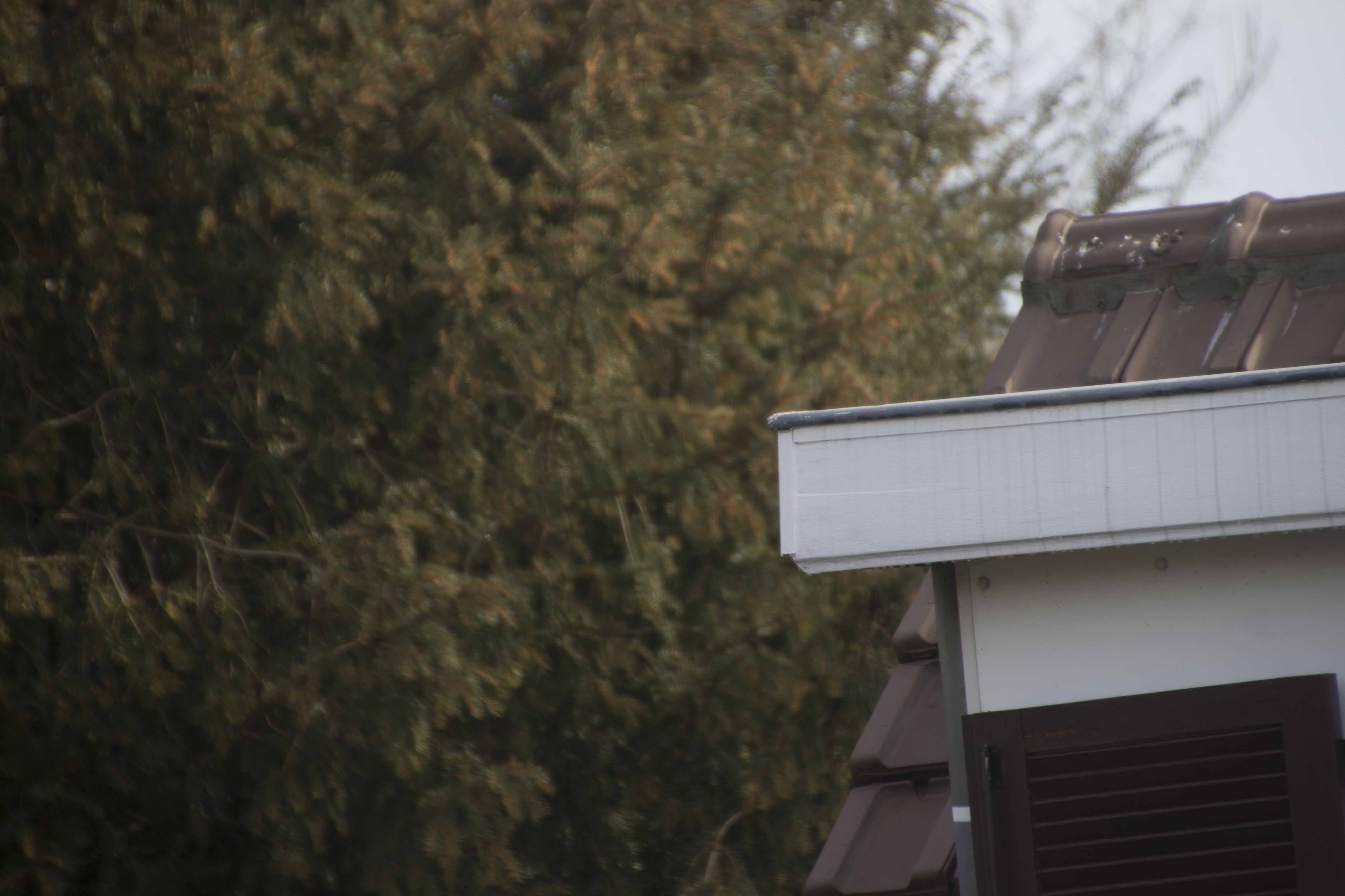 autofocus Tamron lens focusing problems? Photography Stack Exchange