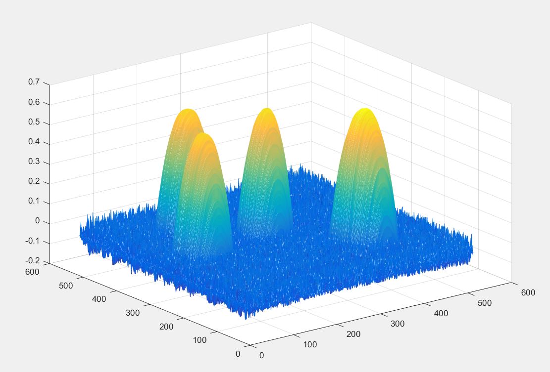botany Why do pine stands exist? Biology Stack Exchange